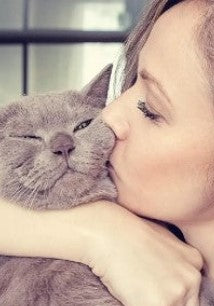 pet sitter chat Catsitters_montreal-best-number 1-cats-love-petsitting-montreal-cat_sitter-_litter-petstore