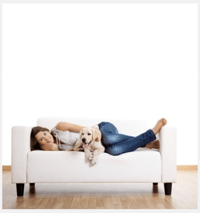 Dog sitting in Montreal – overnight care, dog walking, and fun pawjama party experience