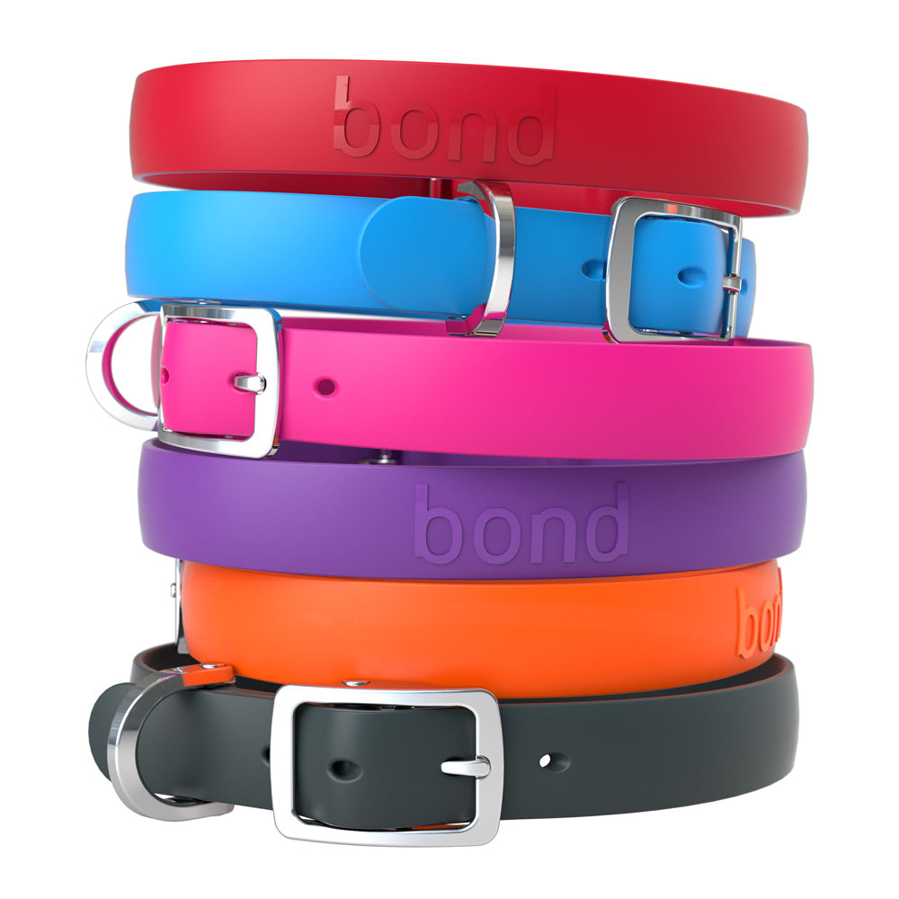 Dog collar rubber 2025