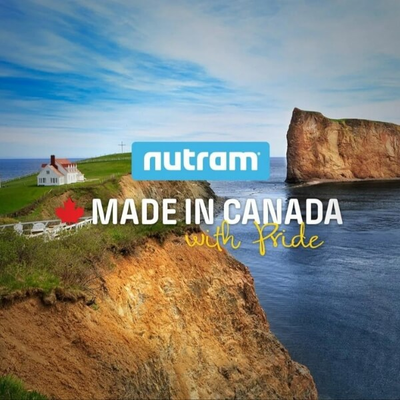 dog food nutram made in canada puppies senior dogs online store