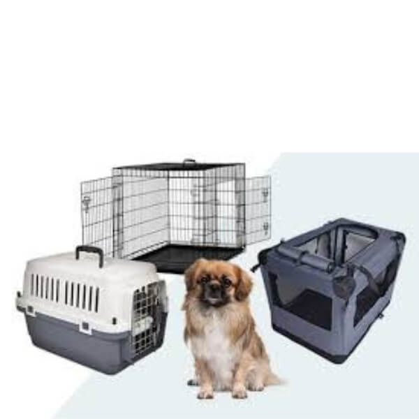 Collections The Angels Pet Store