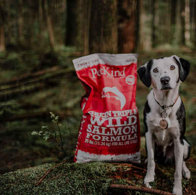 Dog Food - Petkind