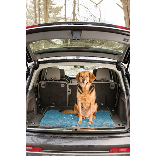 Dog Gone Smart - Dirty Dog Doormat - Pacific Blue 31" x 20"