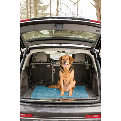 Dog Gone Smart - Dirty Dog Doormat - Pacific Blue 31" x 20"