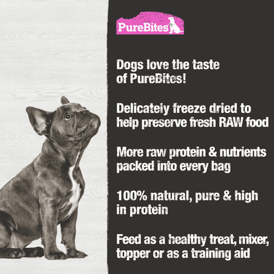 Gâteries lyophilisées pour chiens PureBites au saumon