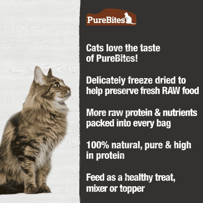 PureBites - Gâteries pour chats lyophilisées à la dinde