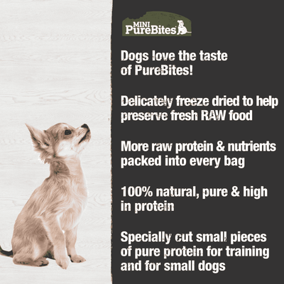 PureBites for Dogs - Mini Beef Liver Freeze Dried Treats