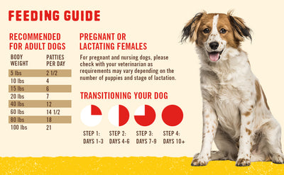 Feeding Guide