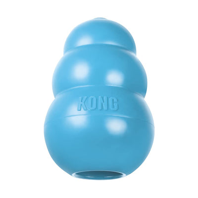 KONG - Le chiot Kong