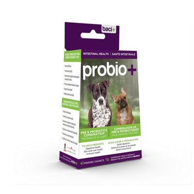 Throw+ Probio+ pour Chiens