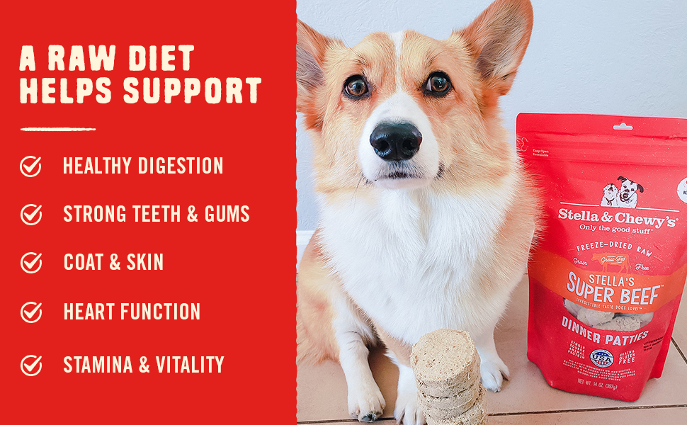 A Raw Diet Helps Support: Digestion, Teeth, Skin, Heart And Stamina
