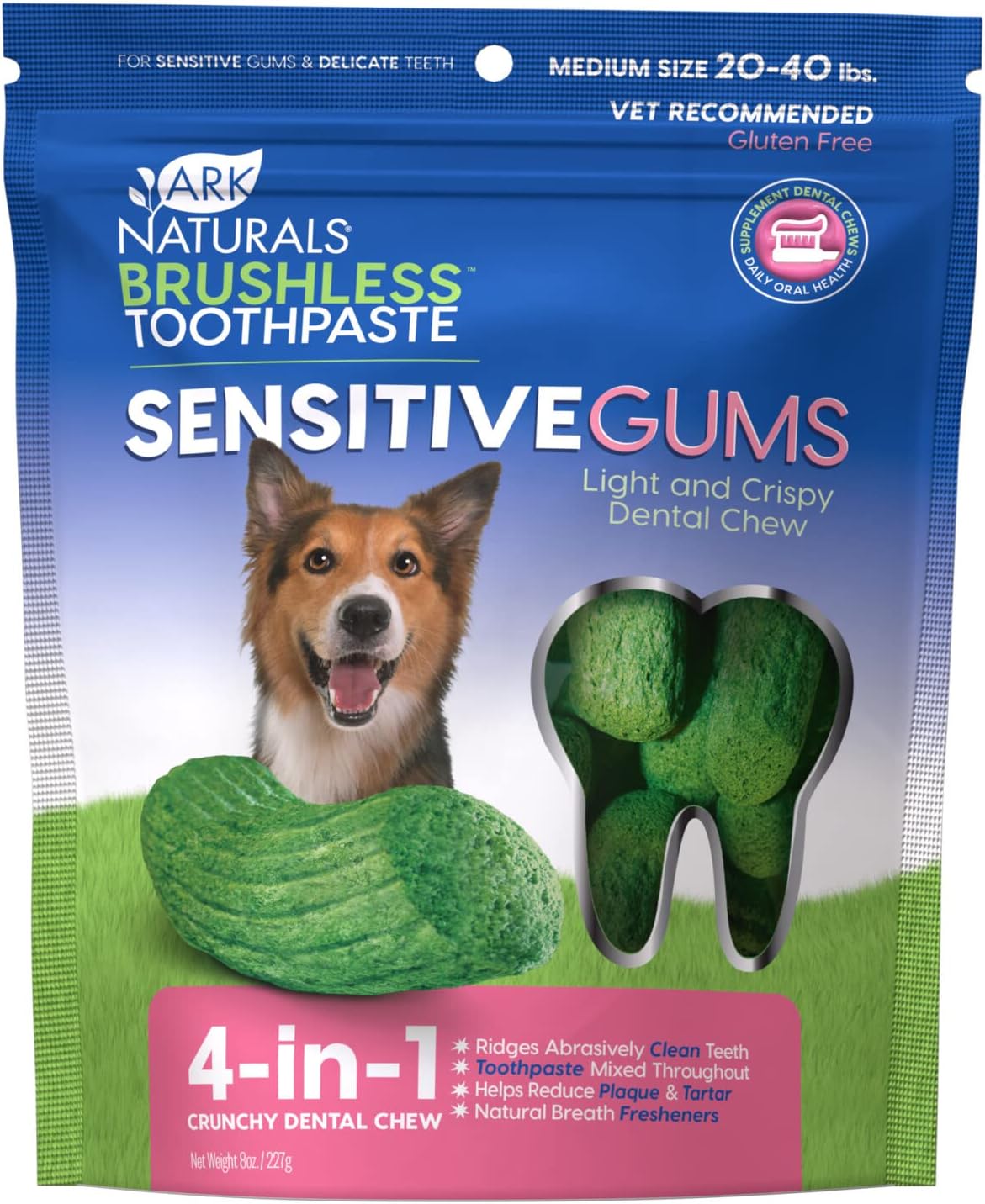 ARK NATURALS Gencives sensibles Dentifrice sans brosse à mâcher dentaire 