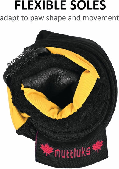Muttluks : Bottes toutes saisons pour chiens (paquet de 4)