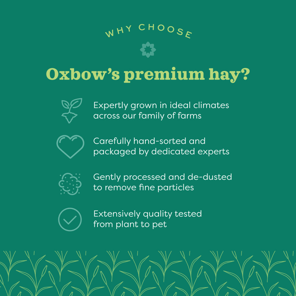 Oxbow - Animal Health Western Timothy Hay (90 oz)
