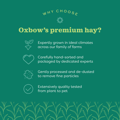Oxbow - Animal Health Western Timothy Hay (90 oz)