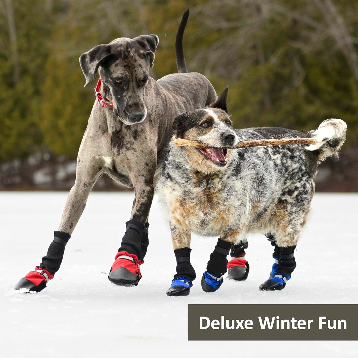 Muttluks: Deluxe Fleece Lined Boots for Dogs (4 Pack) – The Angels