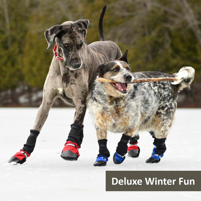 Muttluks - Deluxe Fleece Lined Boots for Dogs (4 Pack)