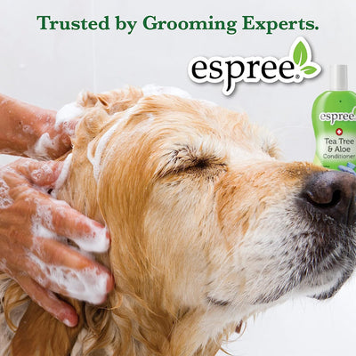 Espree-Rainforest-Shampoo-12oz