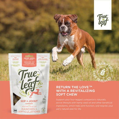 True Leaf - Hip + Joint Support for Dogs