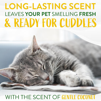 TropiClean: Hypoallergenic Cat Shampoo - For Cats & Kittens - 12oz