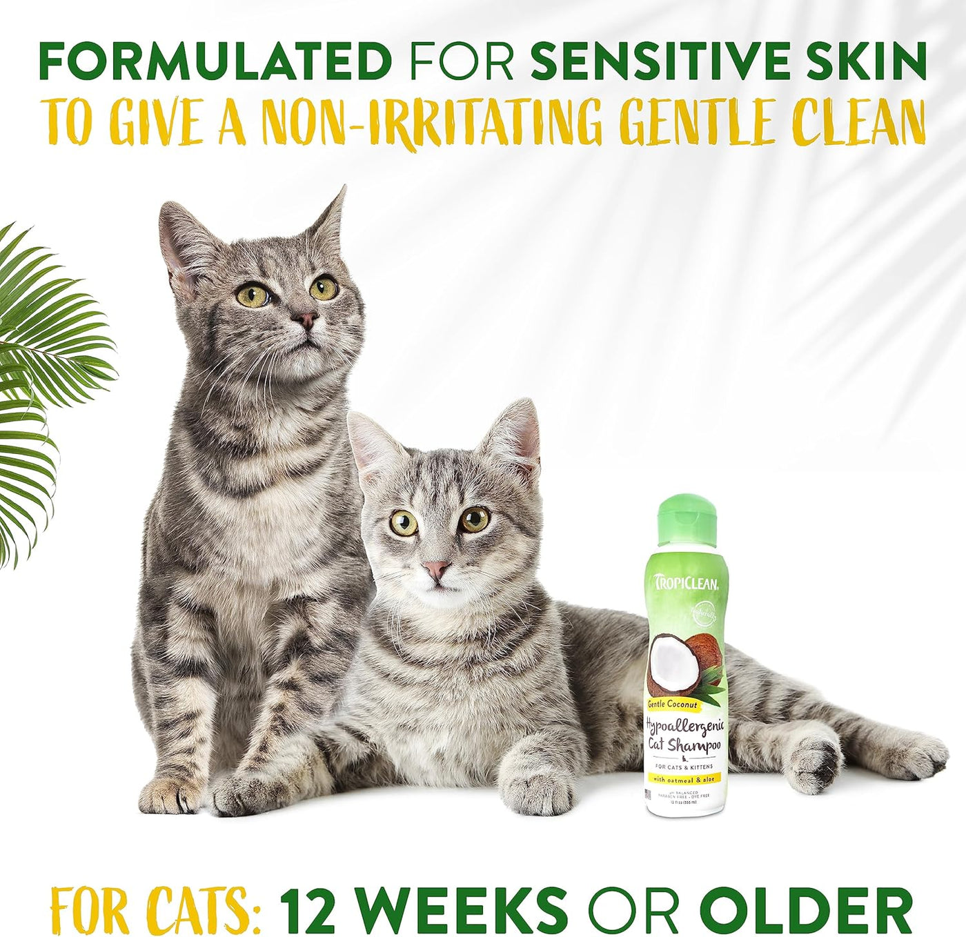 TropiClean: Hypoallergenic Cat Shampoo - For Cats & Kittens - 12oz