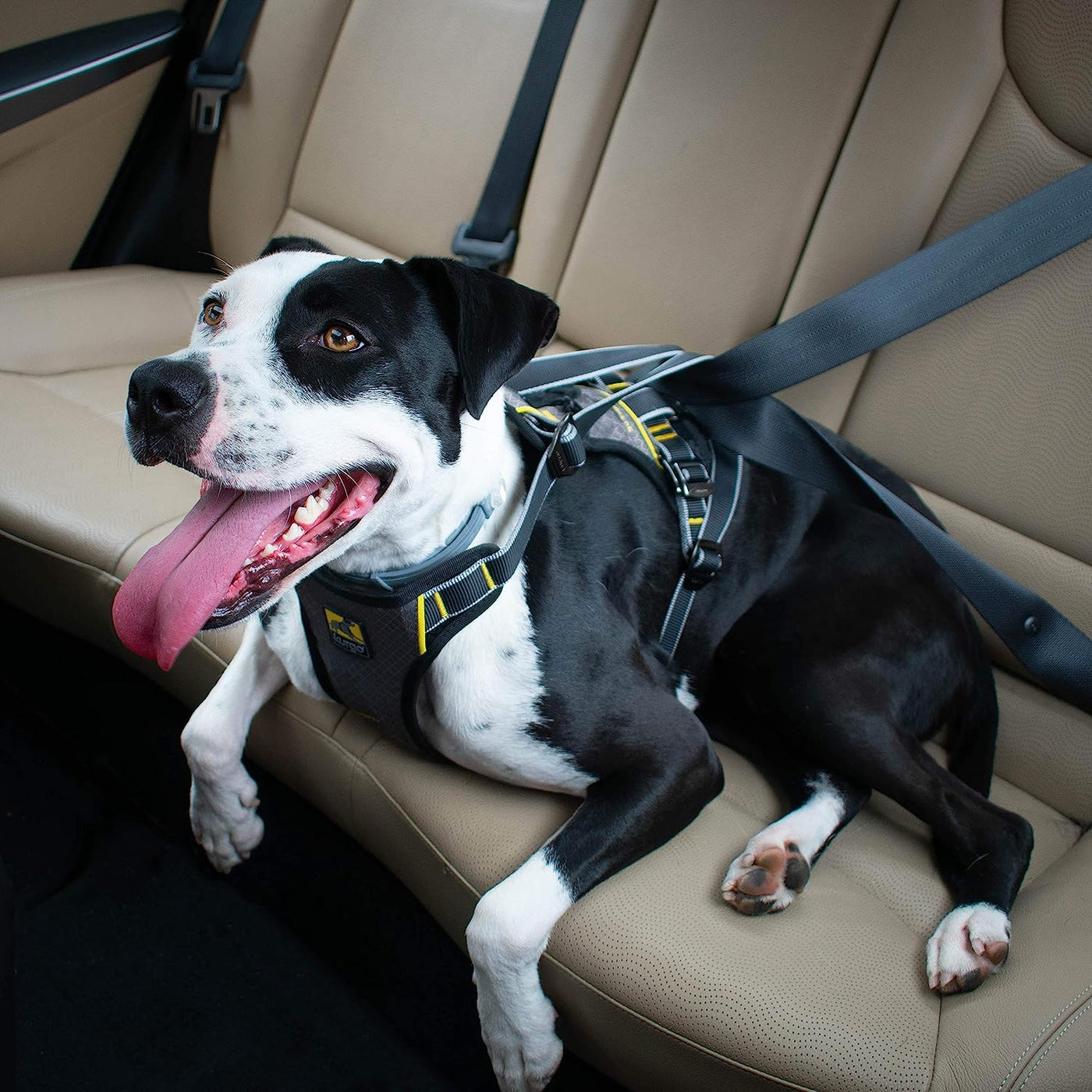 Kurgo - Impact Dog Seatbelt Harness (X-Large)