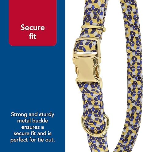 Coastal Accent Dog Collar - Small
