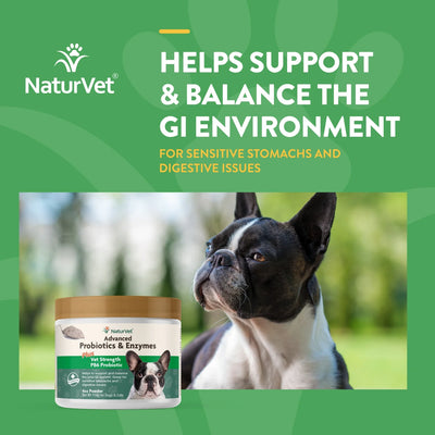 NaturVet - Poudre Probiotiques &amp; Enzymes Avancées + PB6 Chiens &amp; Chats