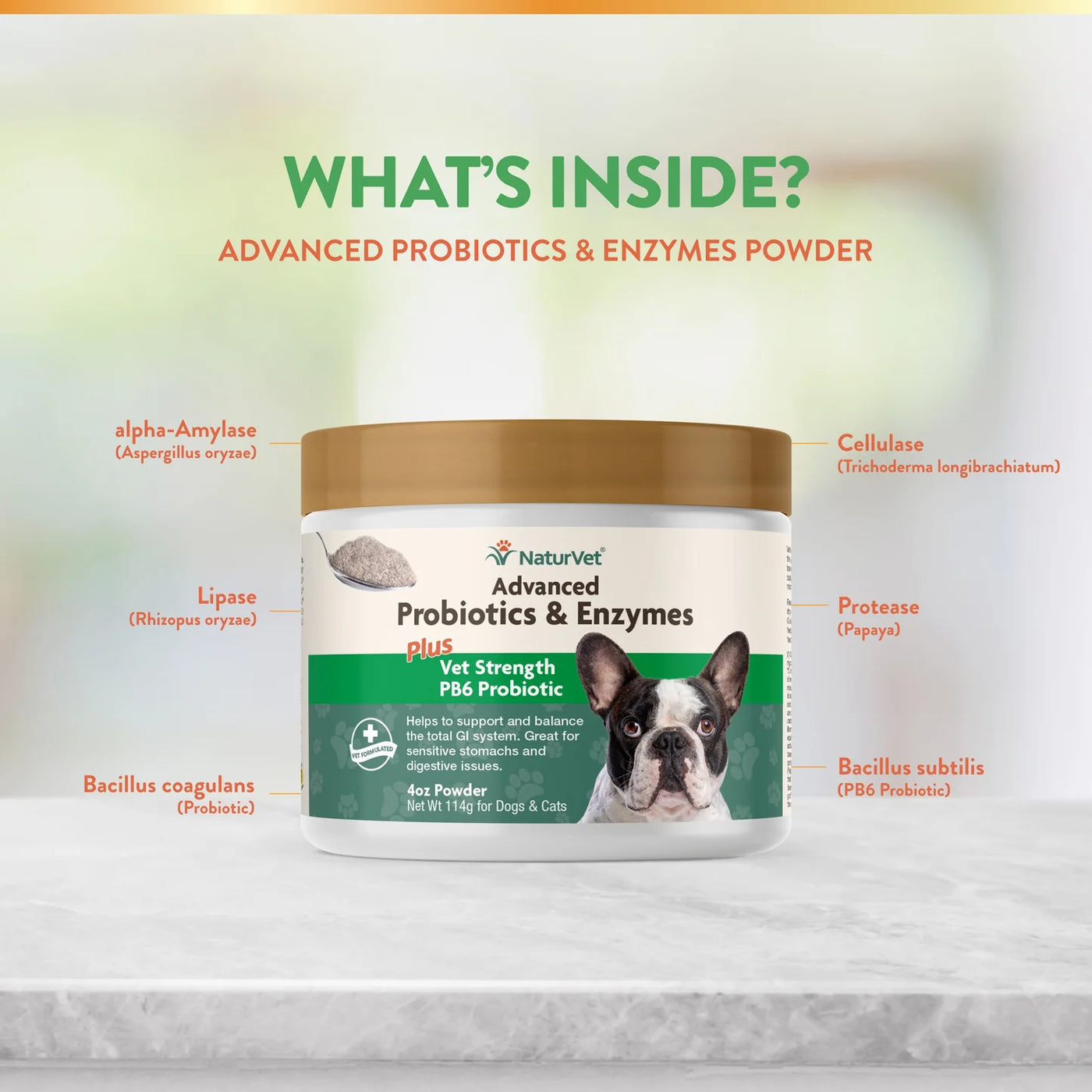 NaturVet - Poudre Probiotiques &amp; Enzymes Avancées + PB6 Chiens &amp; Chats