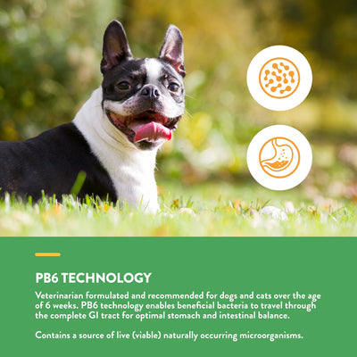 NaturVet Advanced Probiotics & Enzymes + PB6 Powder