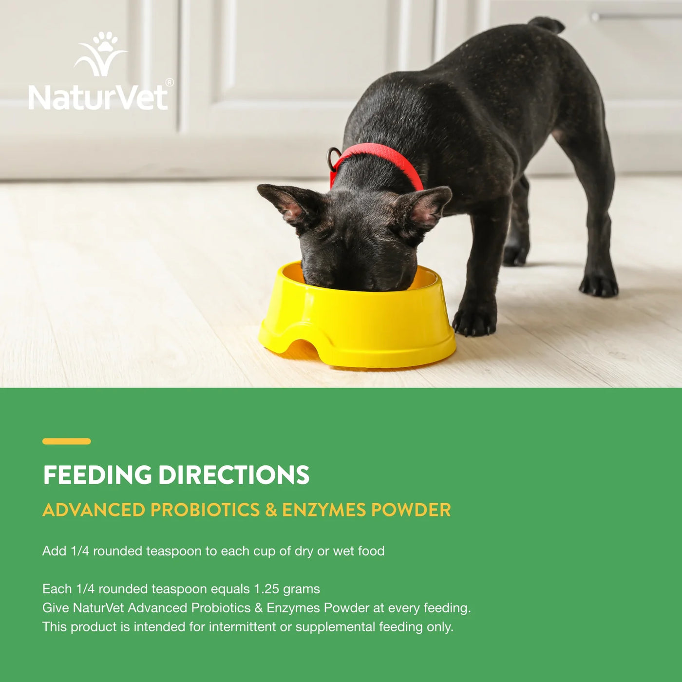 NaturVet Advanced Probiotics & Enzymes + PB6 Powder