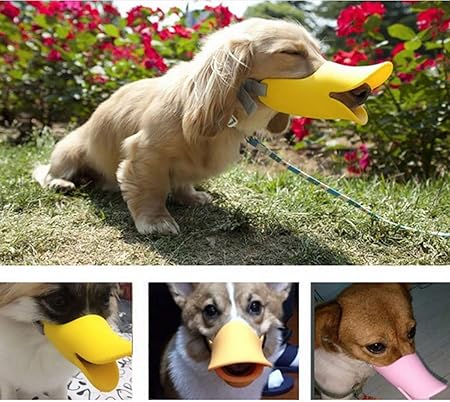 Anti-bite Duck Bill Muzzle for Dogs – The Angels Pet Store