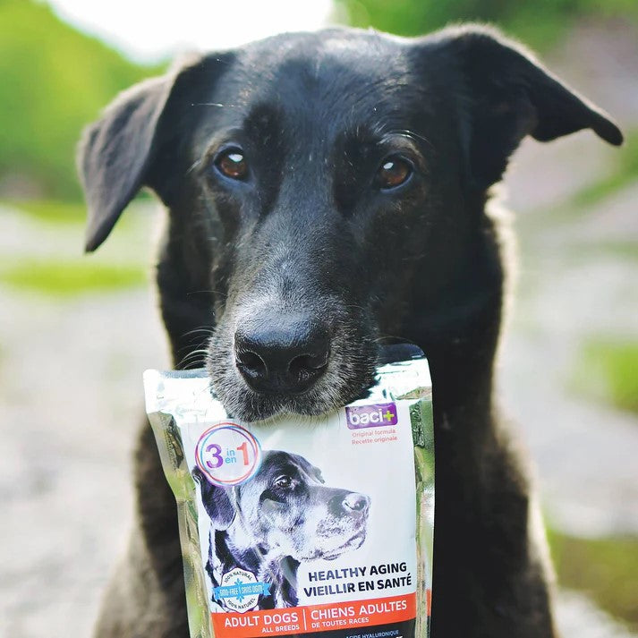 Baci+ 3 en 1 Healthy Aging pour chiens adultes (150 g)