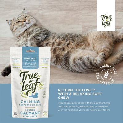 True Leaf - Calming Support Chews for Cats (50gm)