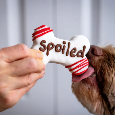 Bosco and Roxy's Dog Cookies