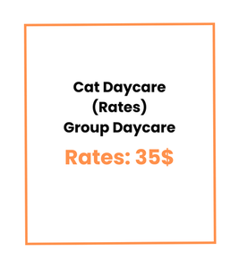 Cat Daycare (Rates) Group Daycare