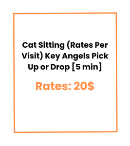 Cat Sitting (Rates Per Visit) Key Angels Pick Up or Drop [5 min]