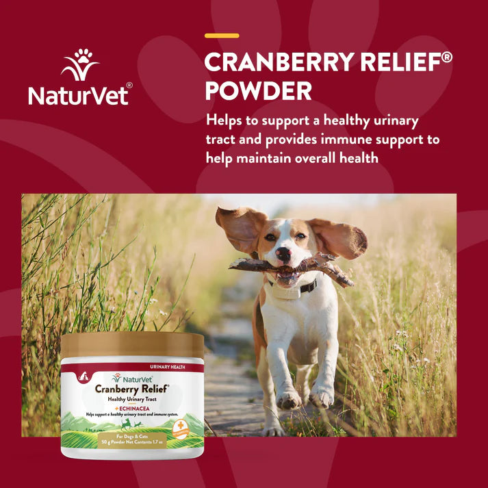 Naturvet cranberry relief plus echinacea best sale