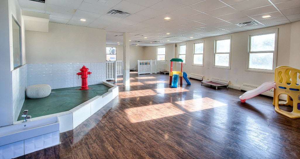 Dog Daycare Center (Rates Per Day) Evaluation