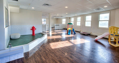 Dog Daycare Center (Rates Per Day) Evaluation