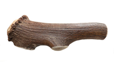 Dentler Antler Dog Chew