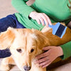 Double-Sided Pet Comb Brush