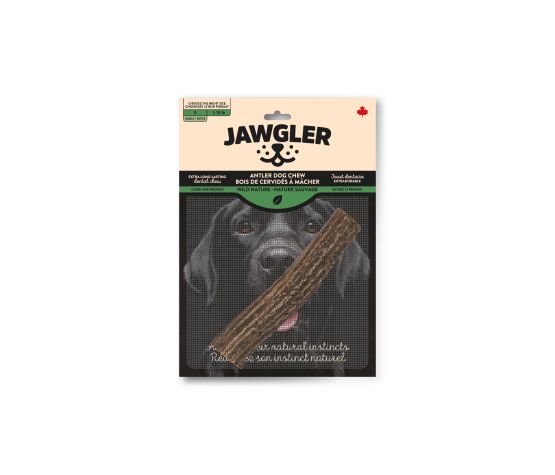 Jawgler - Whole Antler Dog Chew