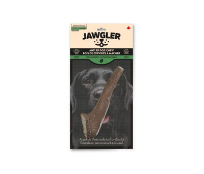 Jawgler - Whole Antler Dog Chew