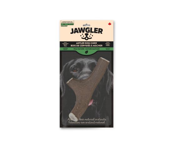 Jawgler - Whole Antler Dog Chew