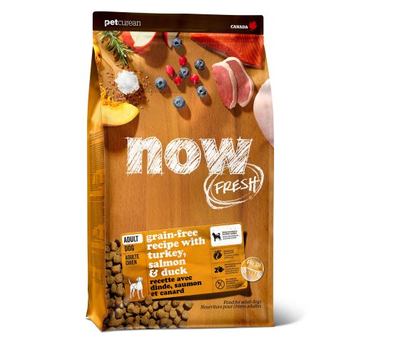 PETCUREAN Now Fresh - Dinde, saumon et canard pour chien adulte sans céréales