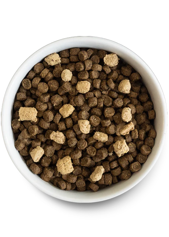 Kibble View of Open Farm for Dogs - RawMix Front Range Grain and Legume Free Dry Dog Food