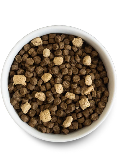 Kibble View of Open Farm for Dogs - RawMix Front Range Grain and Legume Free Dry Dog Food