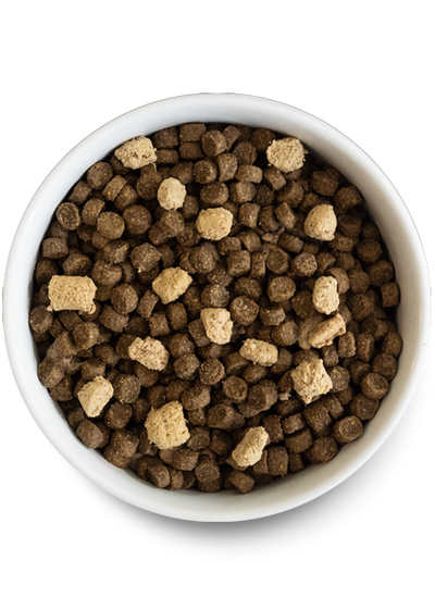 Open Farm RawMix Wild Ocean Recette avec nourriture sèche pour chiens aux céréales anciennes