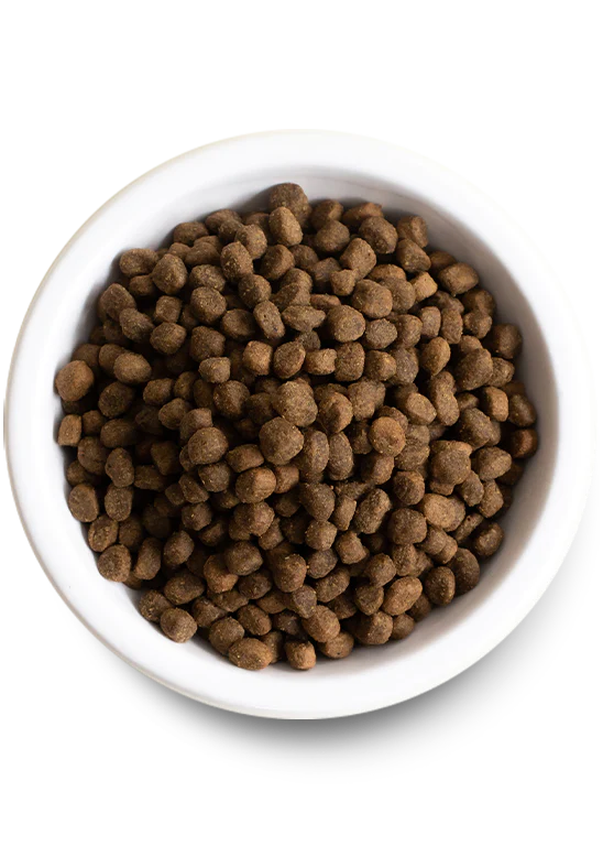 Kibble Size for Open Farm for Dogs - Kind Earth Premium Plant Recipe Dry Food